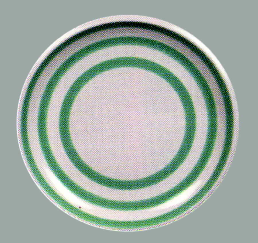 Cabana Sea Green Dinner Plate by Gibson Designs-1