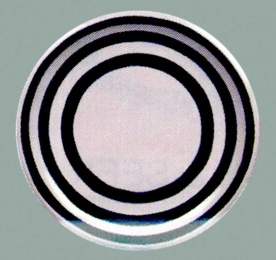 Cabana Black Dinner Plate by Gibson Designs-1