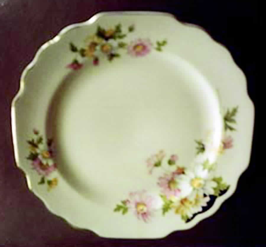 GEO365 Dinner Plate by WS George-1