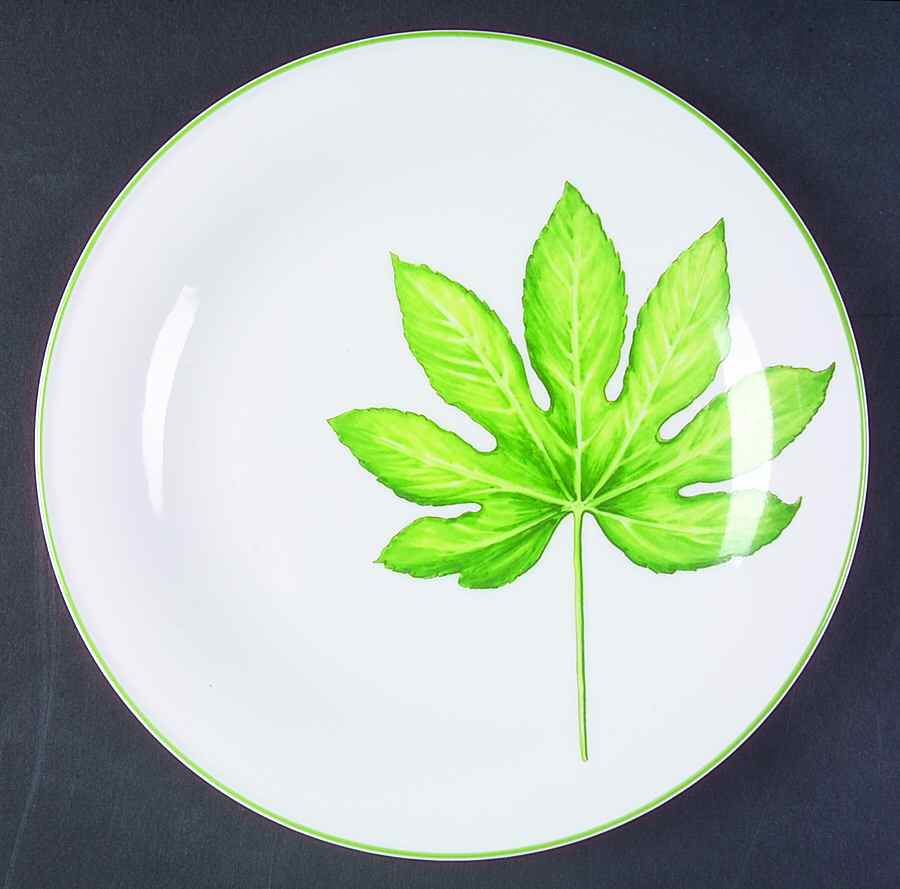 Cana Oscar's Garden Dinner Plate by Ginori 1735-1