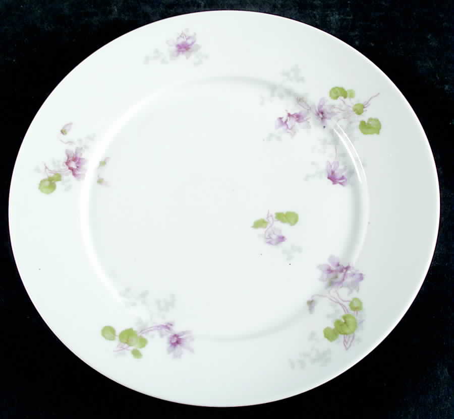 GUE477 Dinner Plate by WM Guerin-1