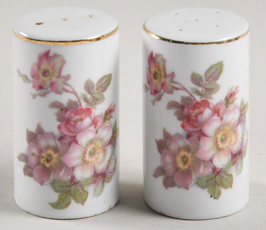 GDR2 Salt & Pepper Set by Gerold Porzellan-1