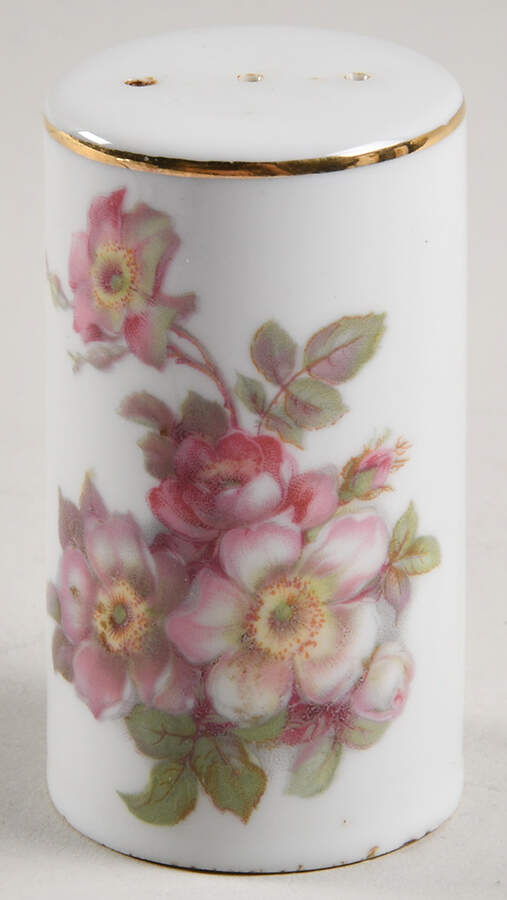 GDR2 Salt Shaker by Gerold Porzellan-1