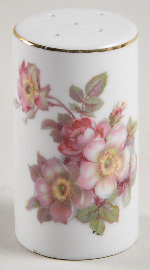 GDR2 Pepper Shaker by Gerold Porzellan-1