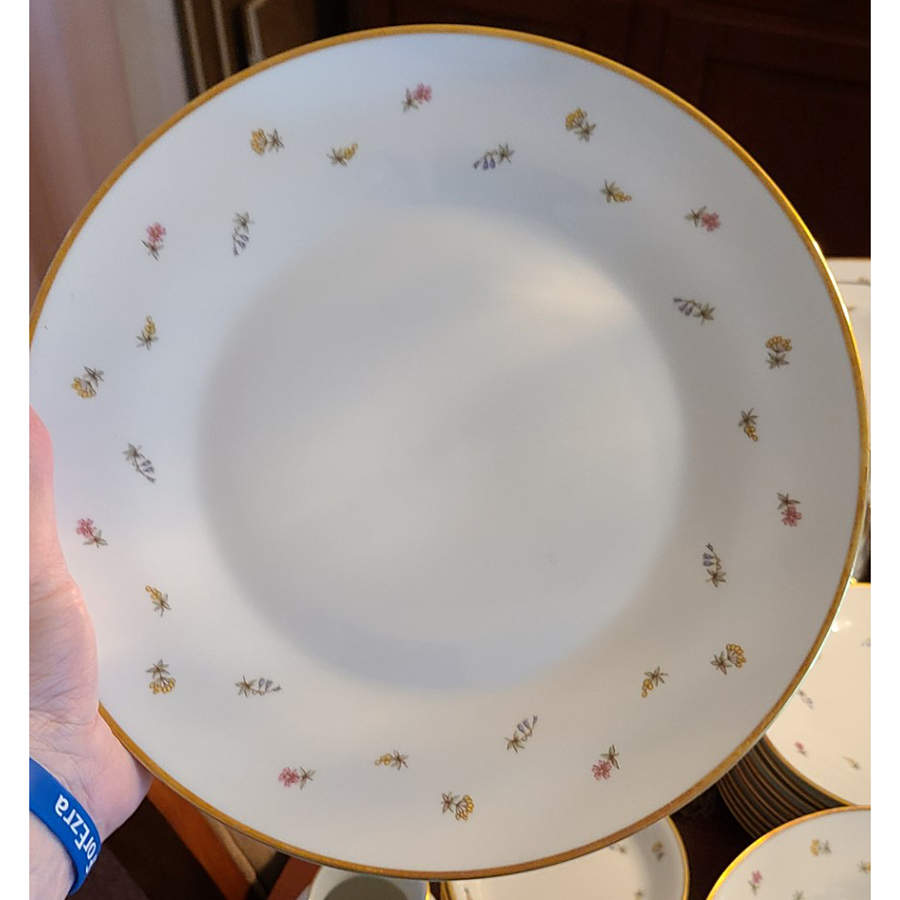 GIN162 Dinner Plate by Ginori 1735-1