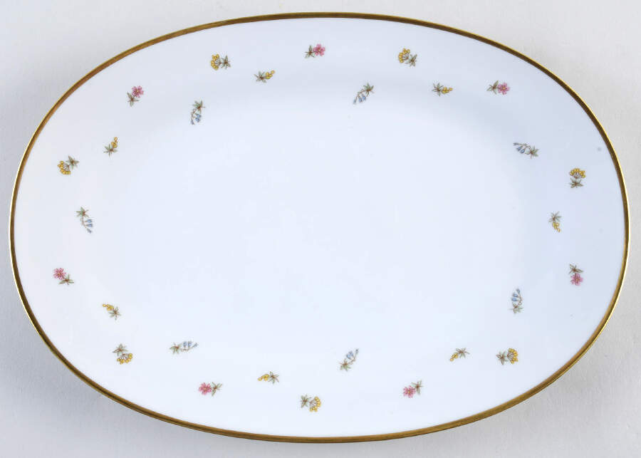 GIN162 12" Oval Serving Platter by Ginori 1735-1