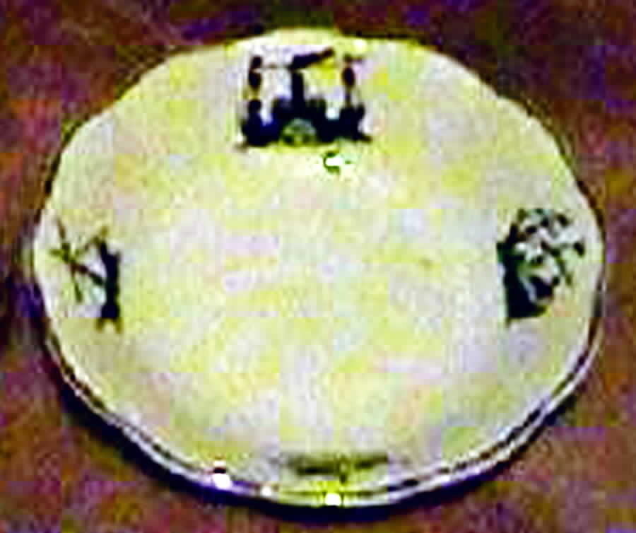 GEO395 Fruit/Dessert (Sauce) Bowl by WS George-1