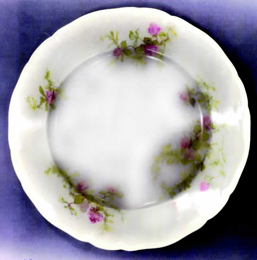 GUE479 Dinner Plate by WM Guerin-1