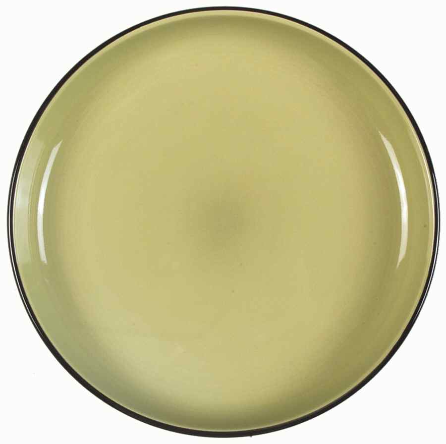 Color Oasis Lime Dinner Plate by Gibson Designs-1