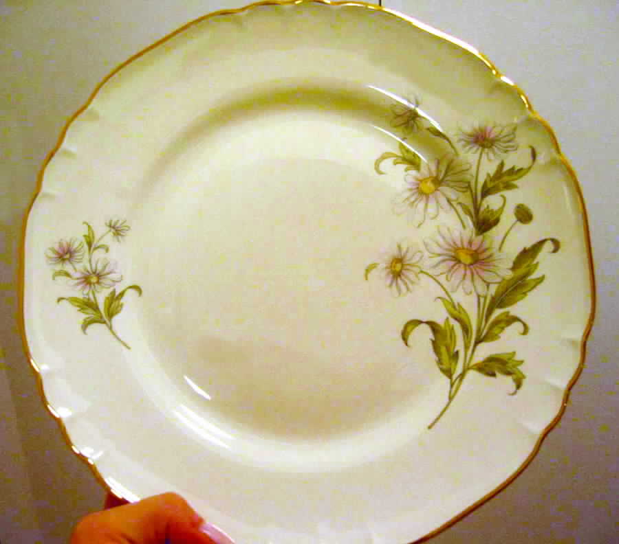 GIN163 Dinner Plate by Ginori 1735-1
