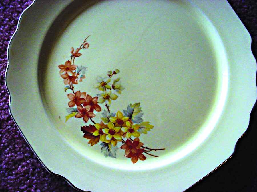 GEO617 Dinner Plate by WS George-1
