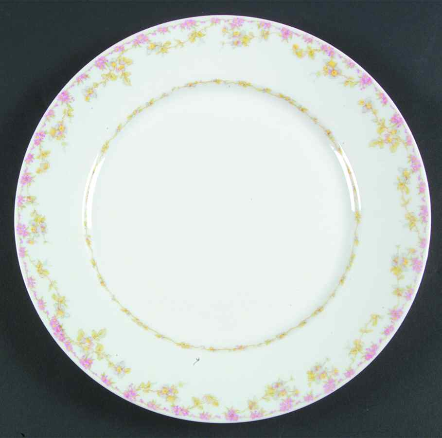 GUE488 Dinner Plate by WM Guerin-1