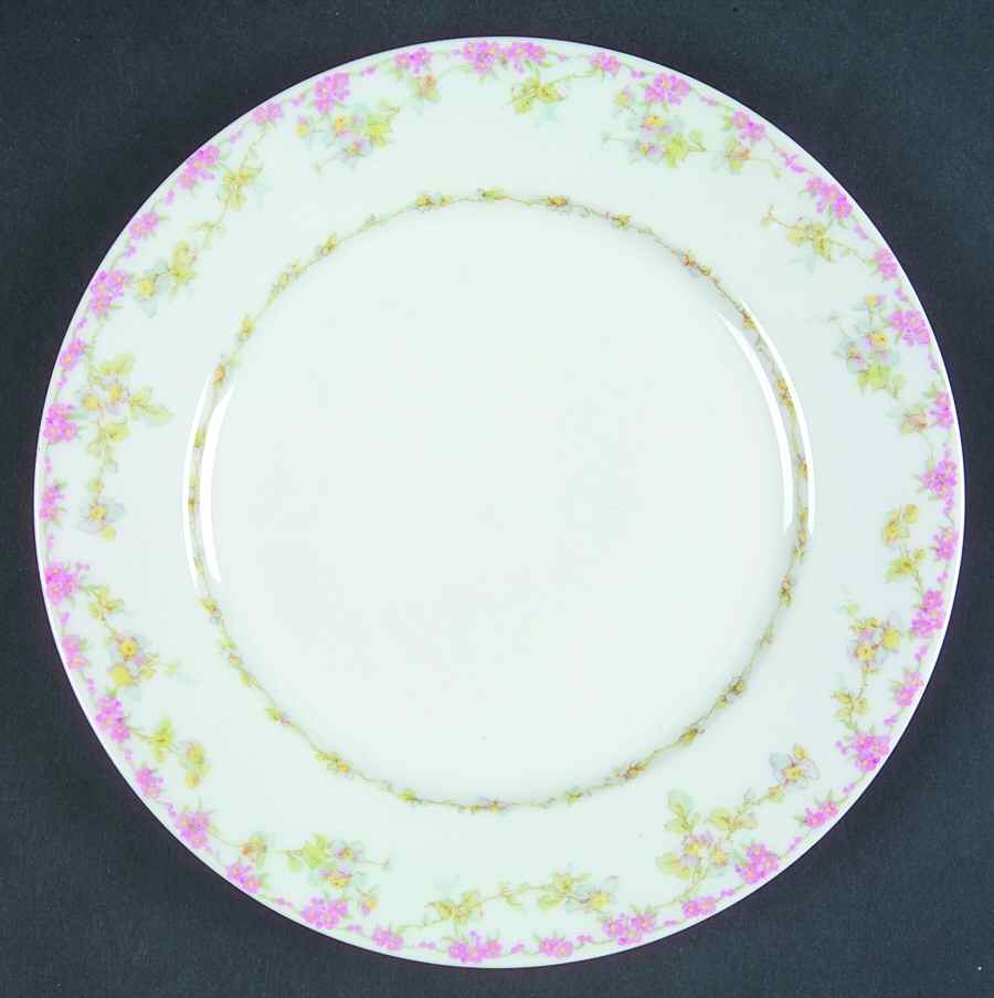 GUE488 Salad Plate by WM Guerin-1