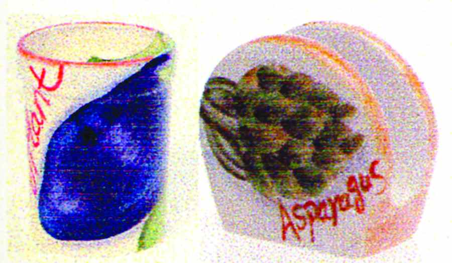 Healthy Picking Utensil Holder by Gibson Designs-1