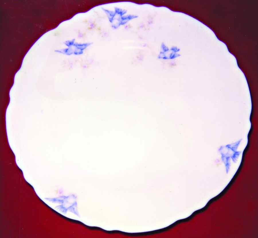 Bluebird Dinner Plate by WS George-1