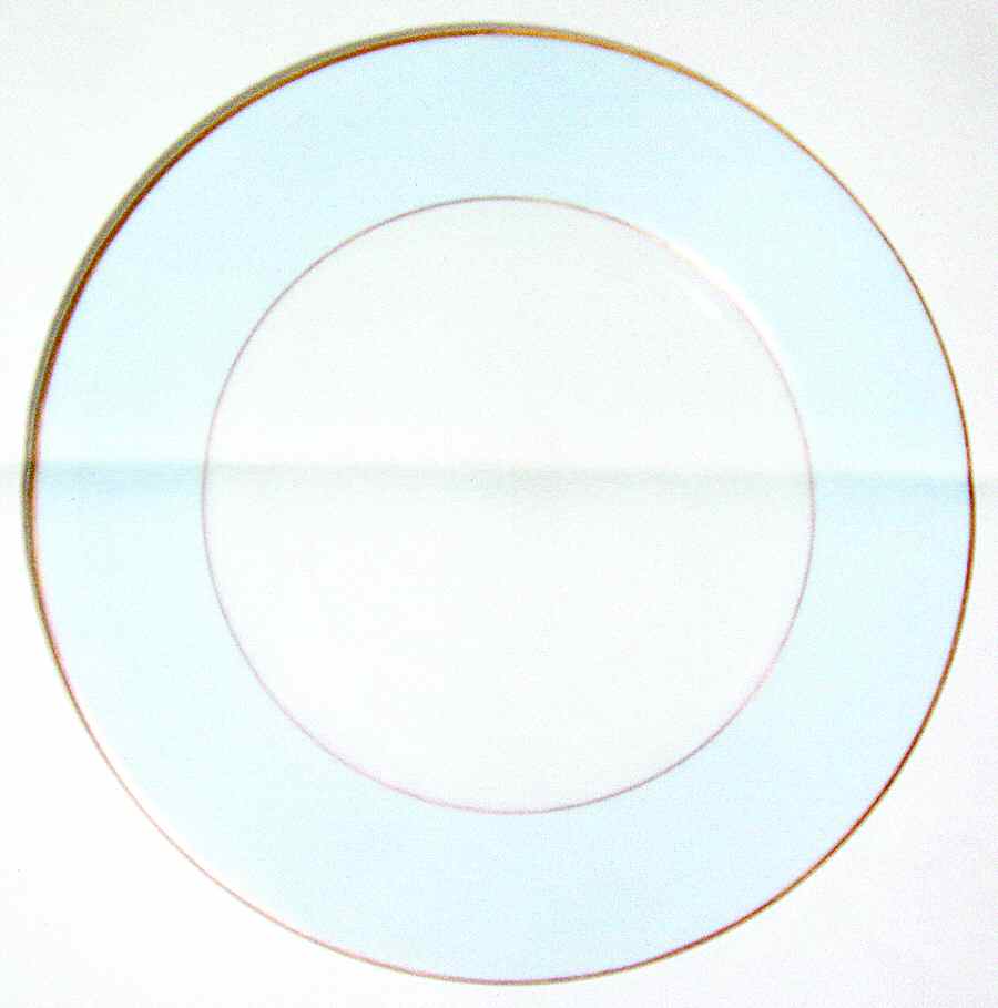 GIN191 Dinner Plate by Ginori 1735-1