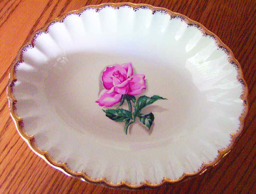 B8775K Dinner Plate by WS George-1