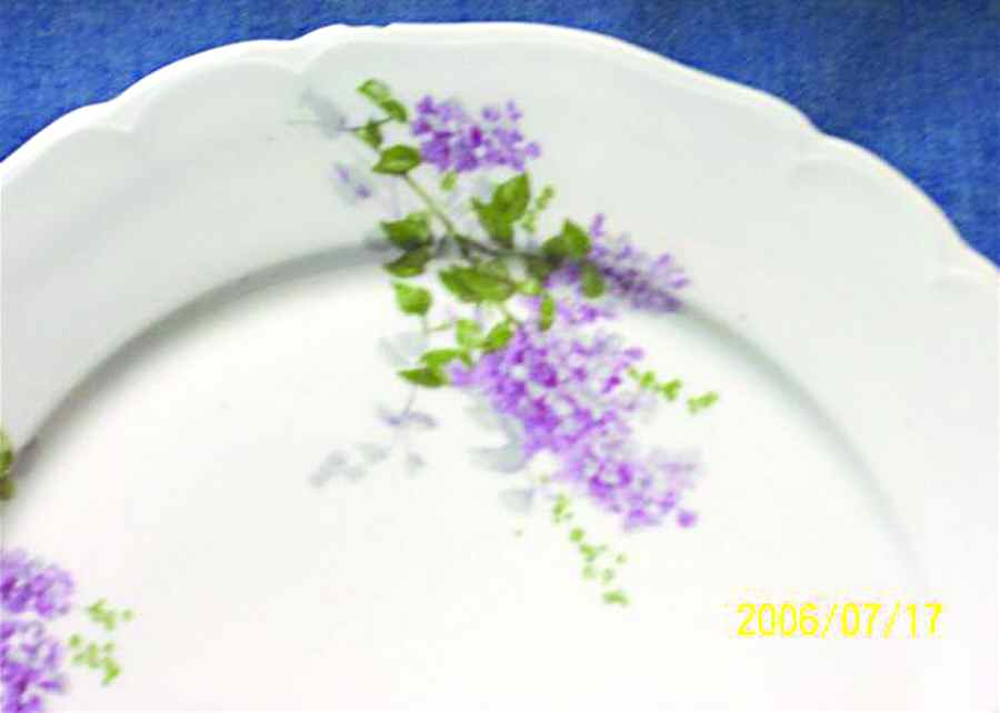GUE529 Dinner Plate by WM Guerin-1