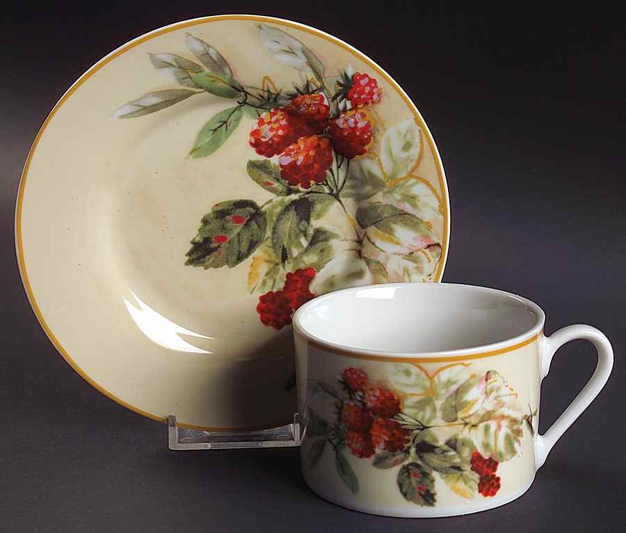 Royal Harvest Flat Cup & Saucer Set by Gibson Designs-1