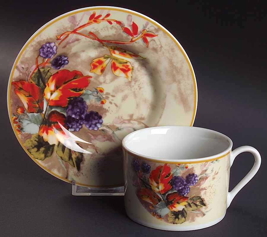 Royal Harvest Flat Cup & Saucer Set by Gibson Designs-1