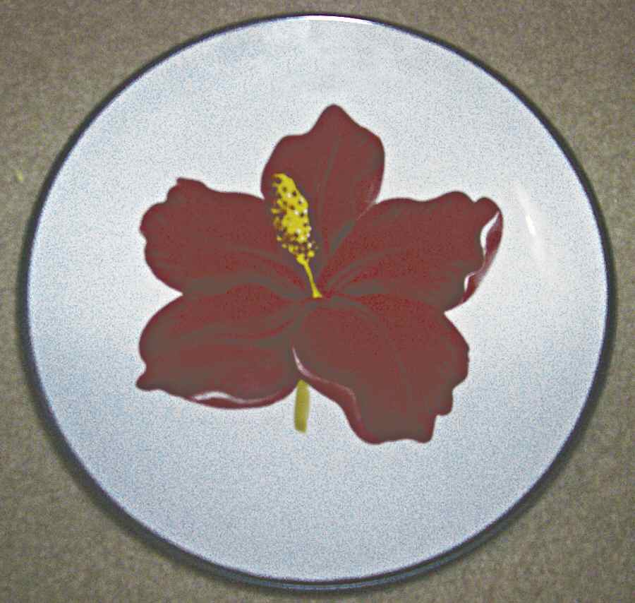 ZODIAC PINK HIBISCUS Salad Plate by Gibson Designs-1