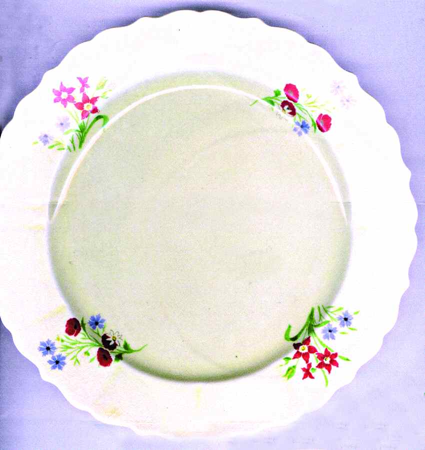 GEO444 Dinner Plate by WS George-1