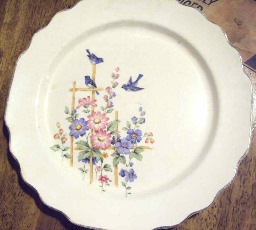 GEO454 Dinner Plate by WS George-1