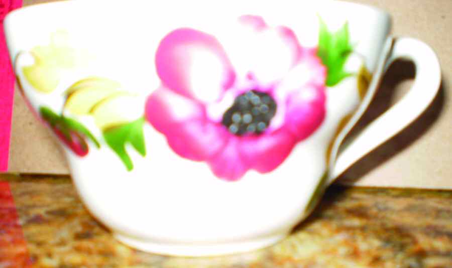 GIN216 Flat Cup by Ginori 1735-1