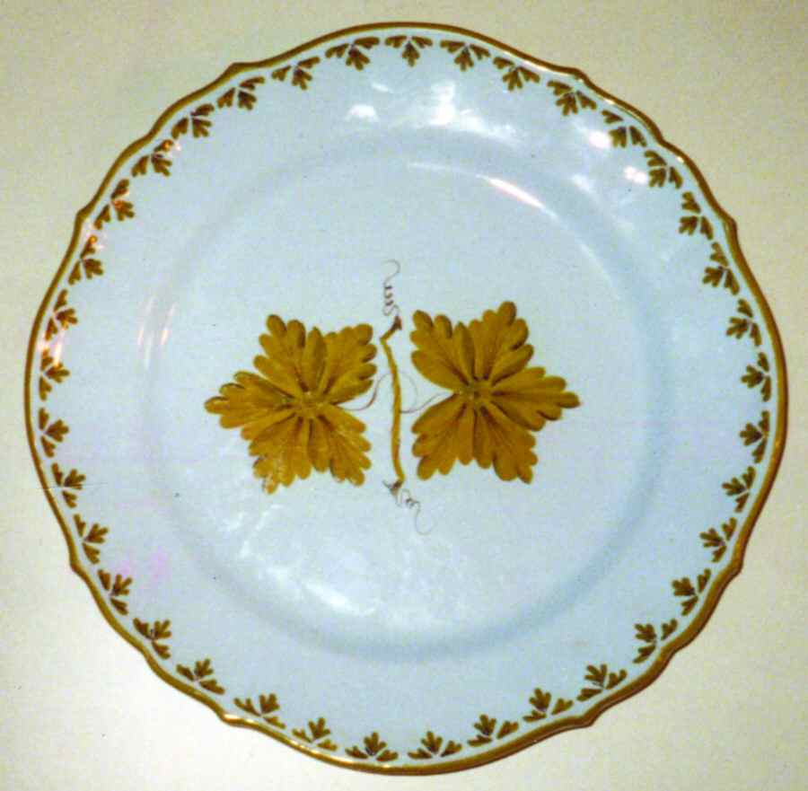 GUM14 Dinner Plate by Gumps-1