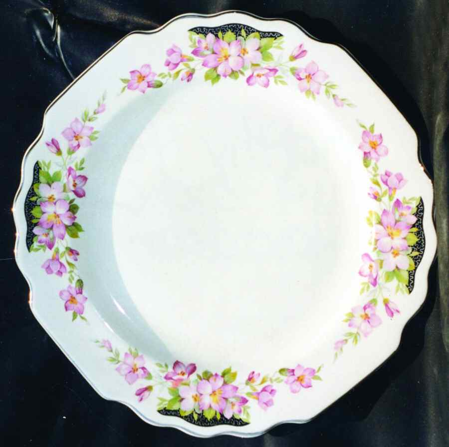 55644H Dinner Plate by WS George-1