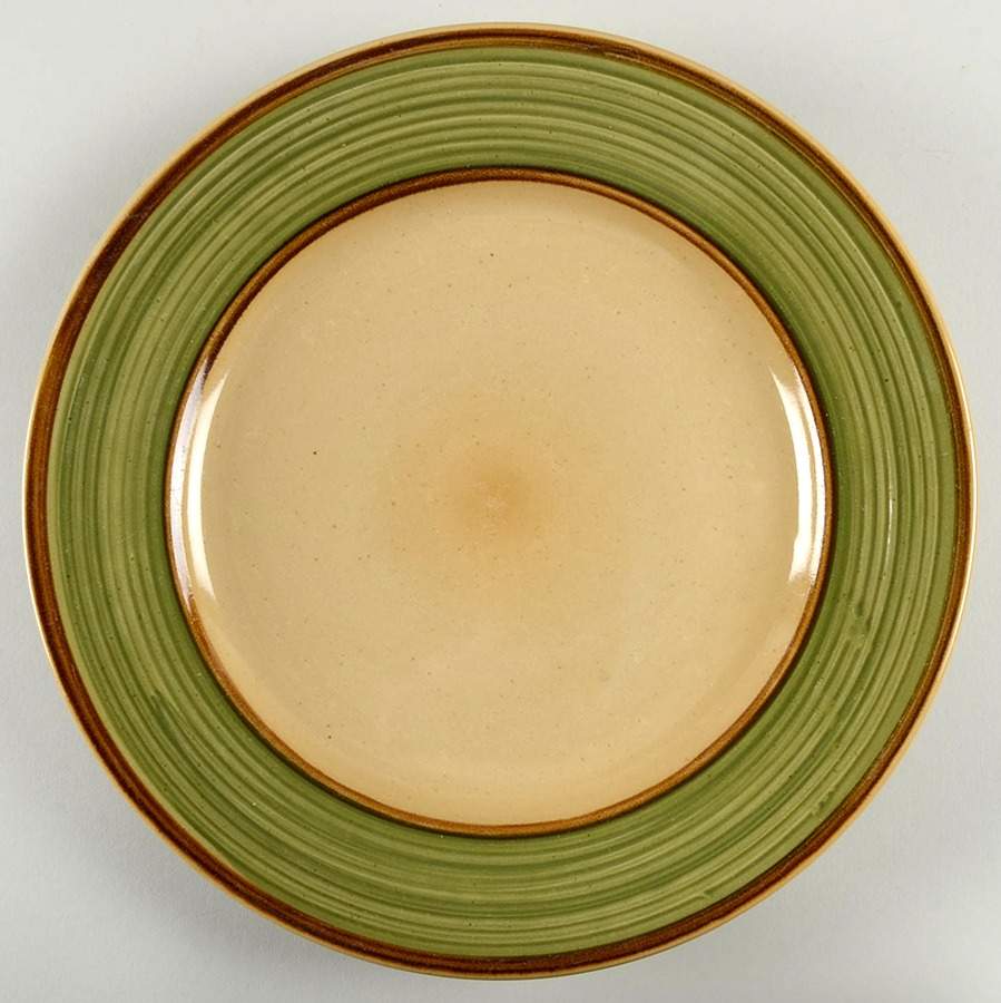 Rustic Green Dinner Plate by Gourmet Expressions-1