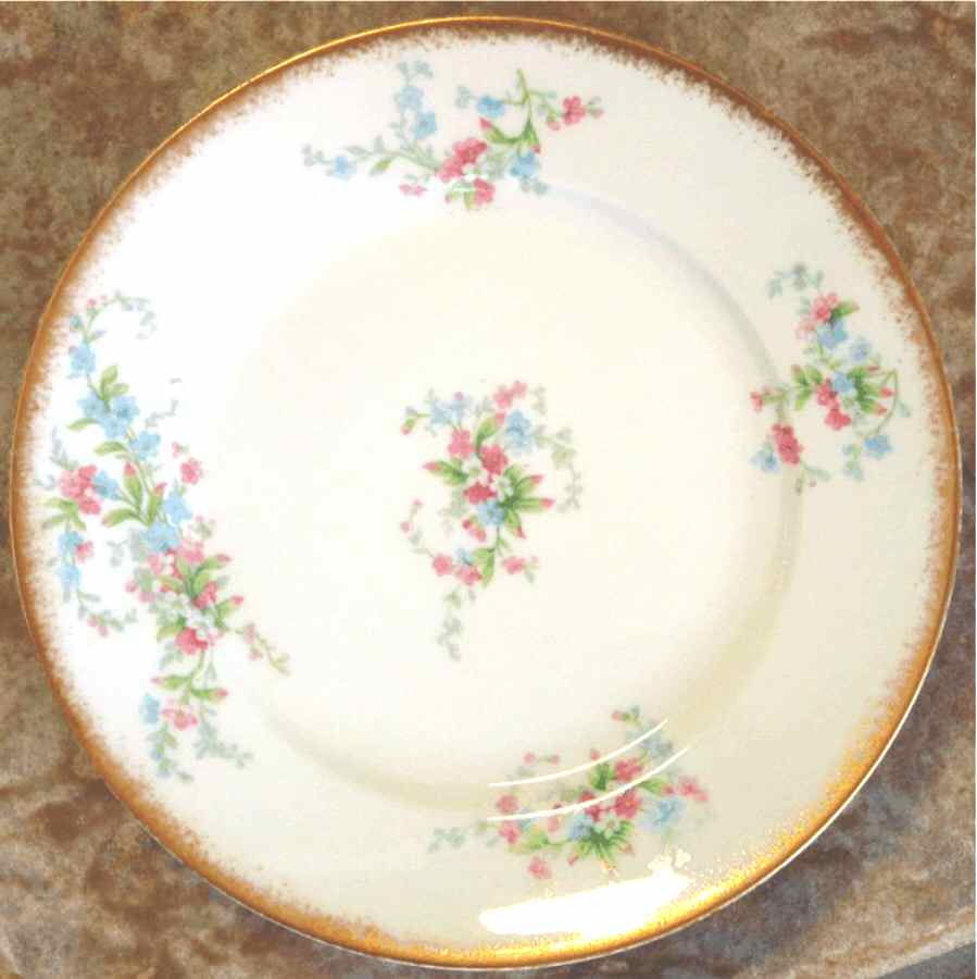 GUE584 Dinner Plate by WM Guerin-1
