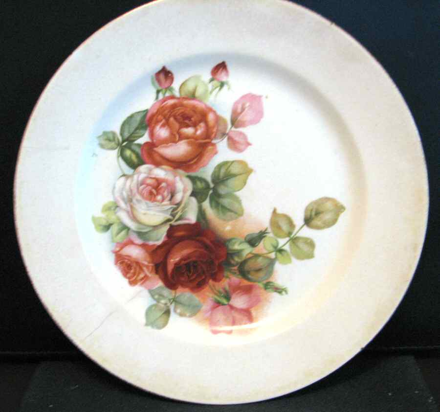 GEO473 Dinner Plate by WS George-1
