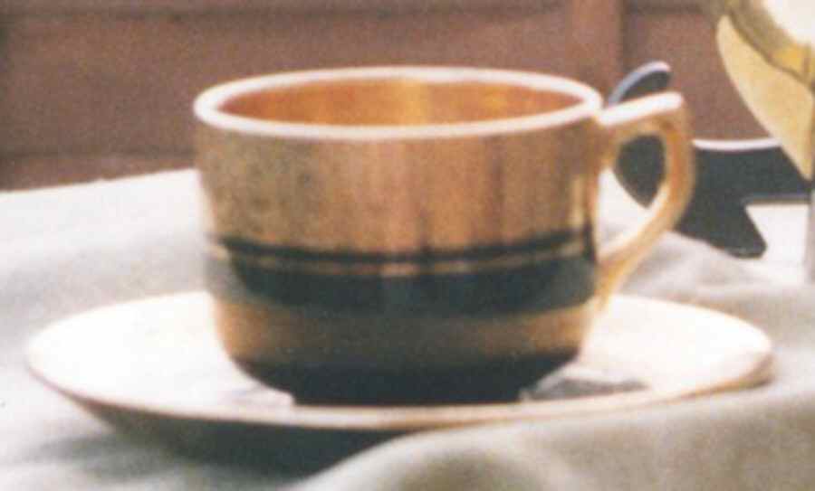 Davenport Flat Cup & Saucer Set by Gibson & Sons-1