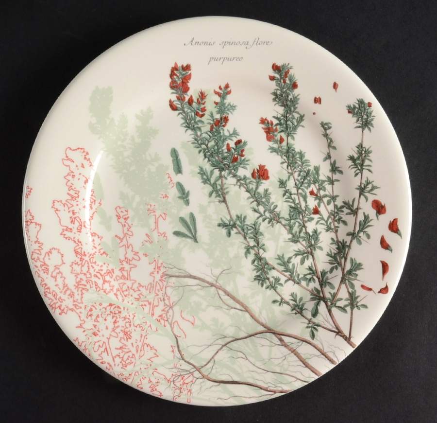 Lherbier du Roy Salad/Dessert Plate by Faiencerie De Gien-1