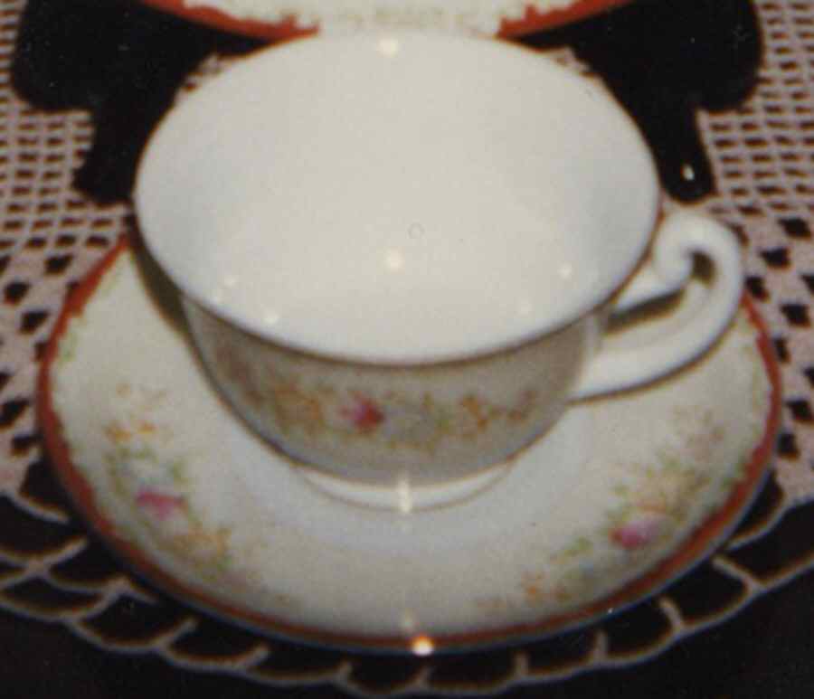 GAR14 Footed Cup & Saucer Set by Garden (Japan)-1