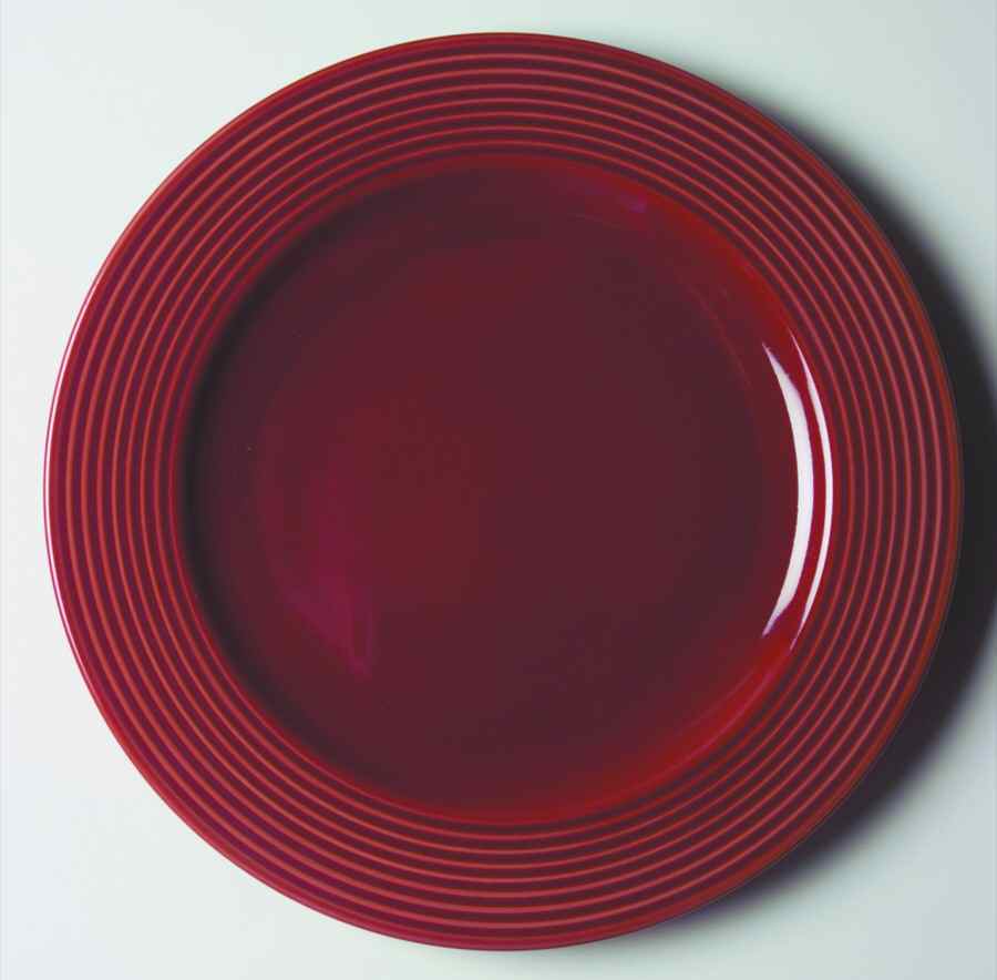 True Colors Brick Dinner Plate by Gorham-1
