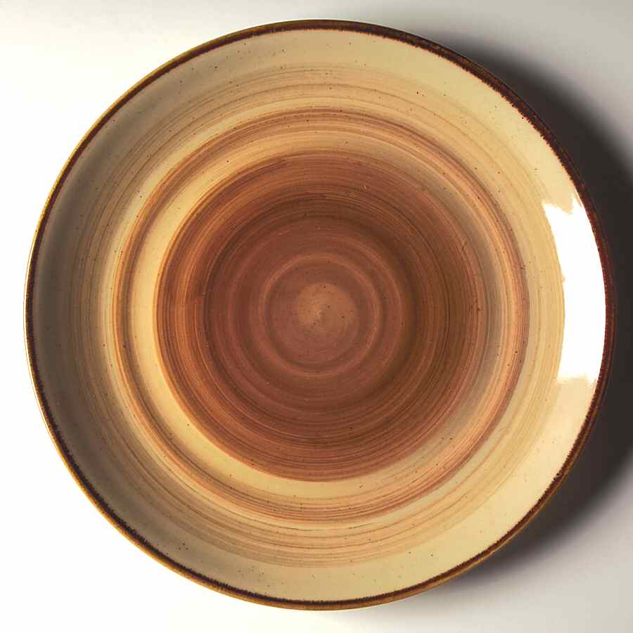 Ocean Dream Brown Dinner Plate by Gibson Designs-1