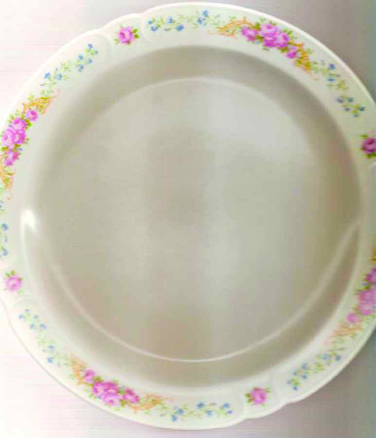 GEO483 Dinner Plate by WS George-1