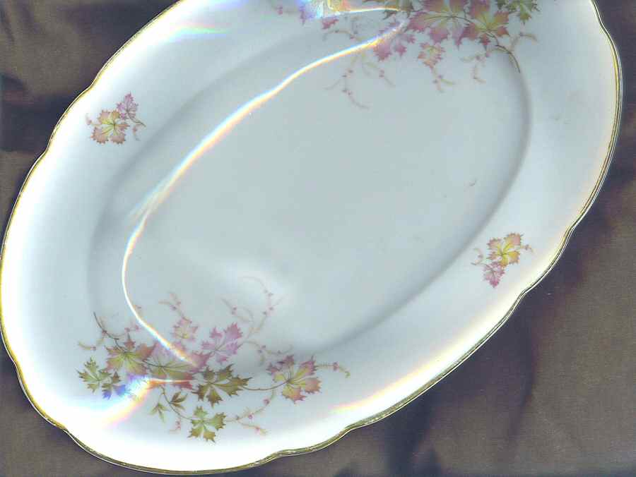 GIN239 12" Oval Serving Platter by Ginori 1735-1
