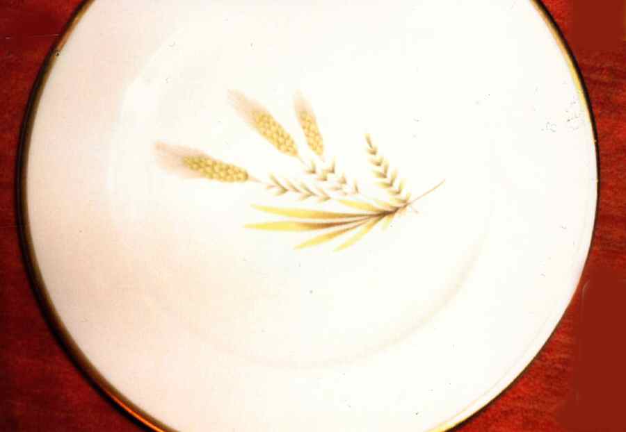 18811 Dinner Plate by Grace-1