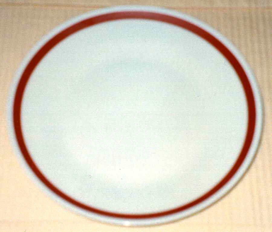 GIN246 Dinner Plate by Ginori 1735-1