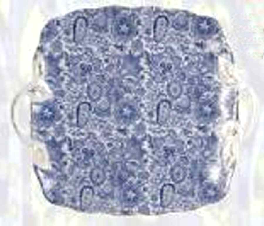 Paisley Blue Square Handled Cake Plate by Godinger-1