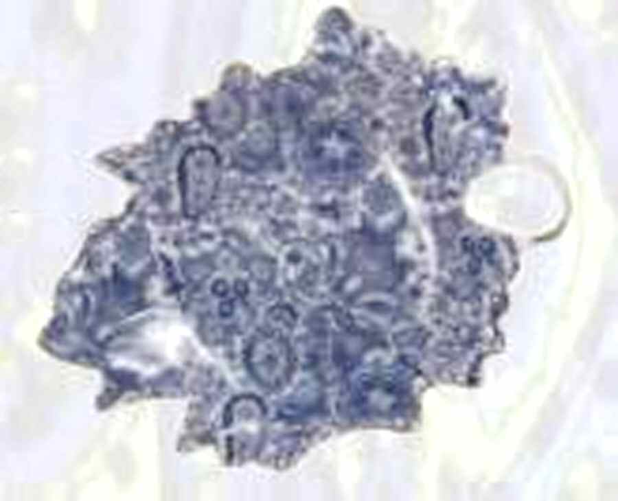 Paisley Blue 7" Leaf Dish by Godinger-1