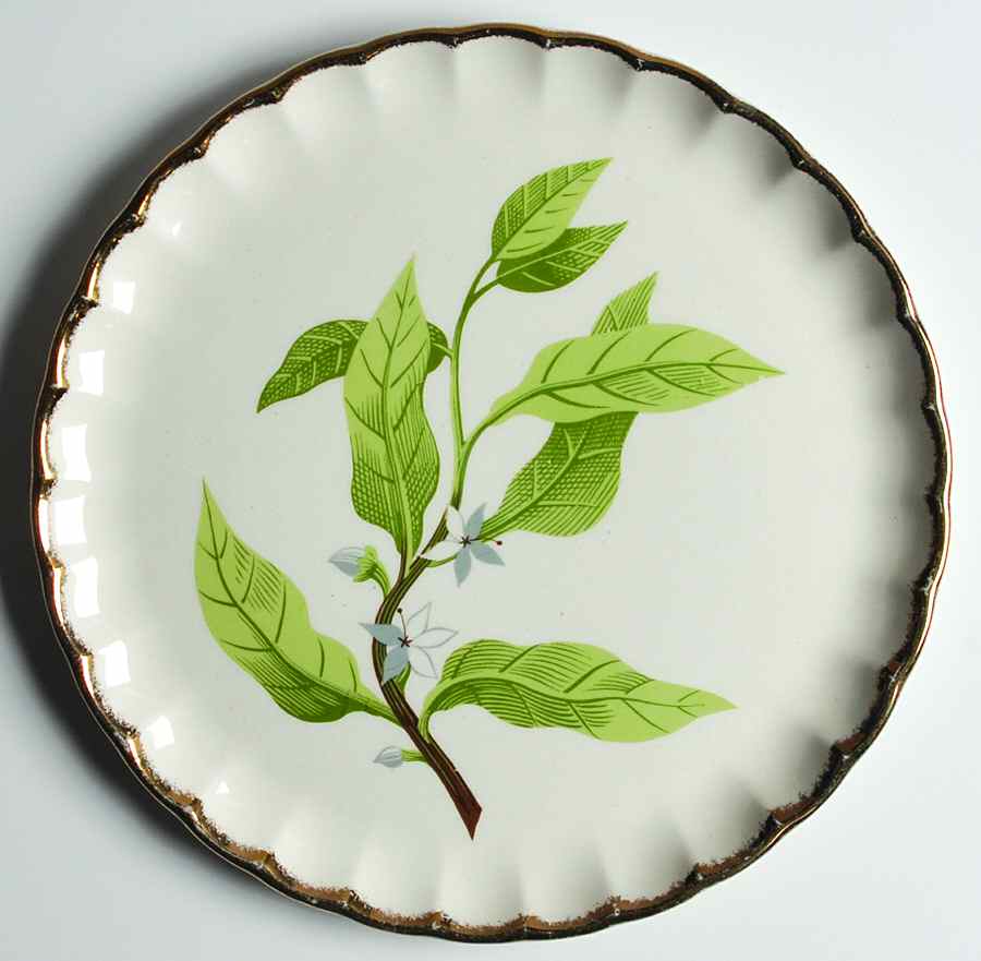 GEO490 Luncheon Plate by WS George-1