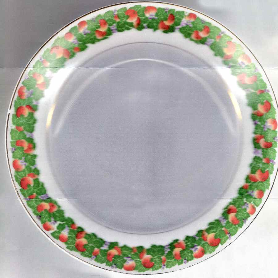 4240 Dinner Plate by Germany-1