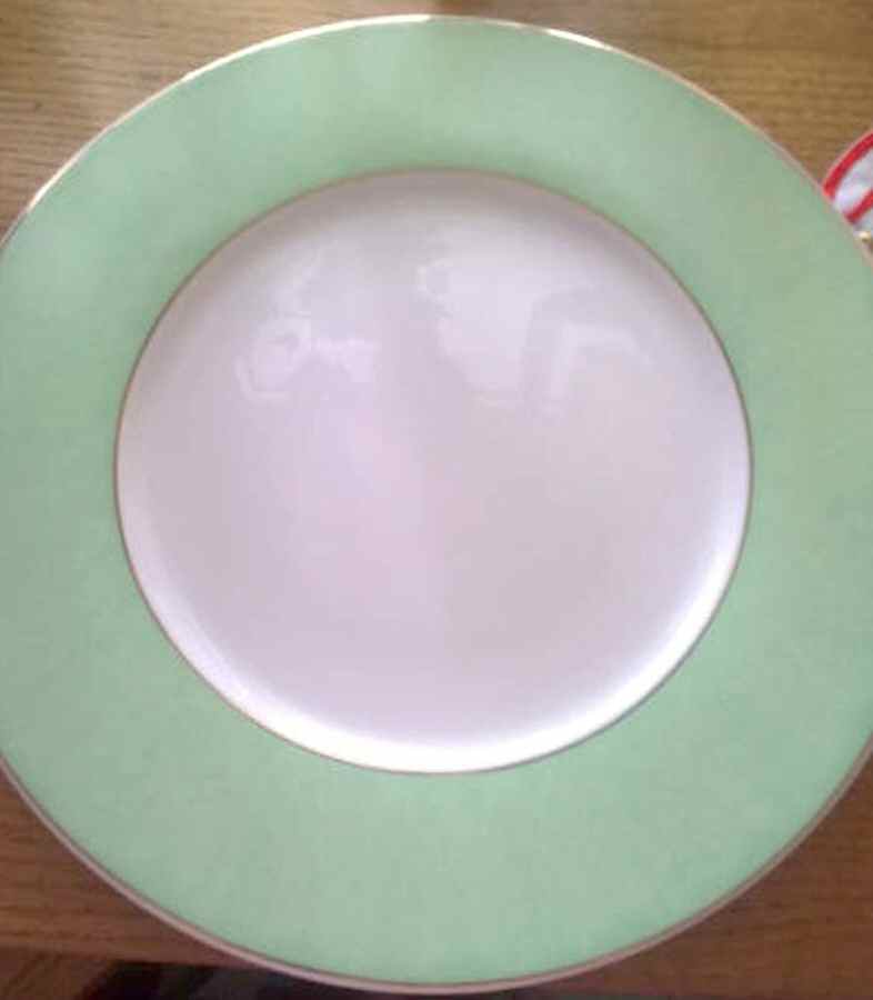 Marmara Green Service Plate (Charger) by Guy Degrenne-1