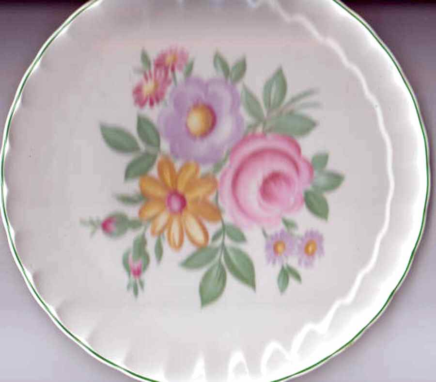 GEO492 Dinner Plate by WS George-1