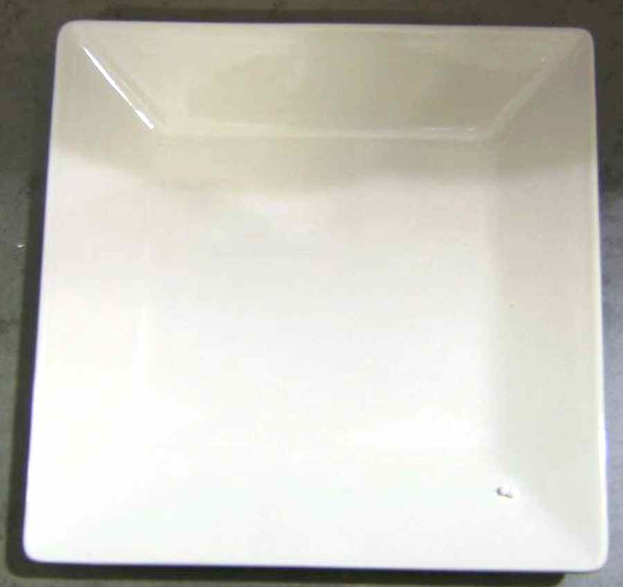GDG1 White Square Salad Plate by Garden Ridge-1