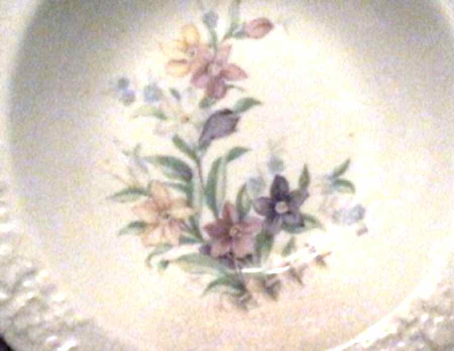 175a Dessert/Pie Plate by WS George-1